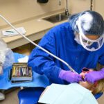 Cada cuánto hacerse una limpieza dental: la regla de los seis meses y cuándo no aplica