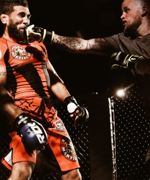 UFC 333: Volkanovski vs. Evloev, Yan vs. Dvalishvili and Panama’s Joselyne Edwards one step from the title
