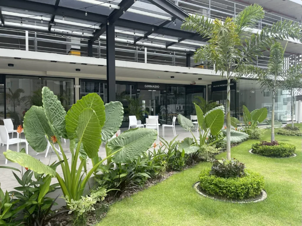 Área social con jardín de Panamá Viejo Residences