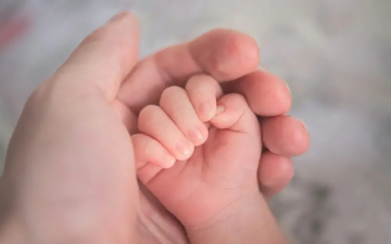 Residencia por hijo panameño: requisitos, edad mínima y qué otorga Residencia por hijo panameño: requisitos, edad mínima y qué otorga